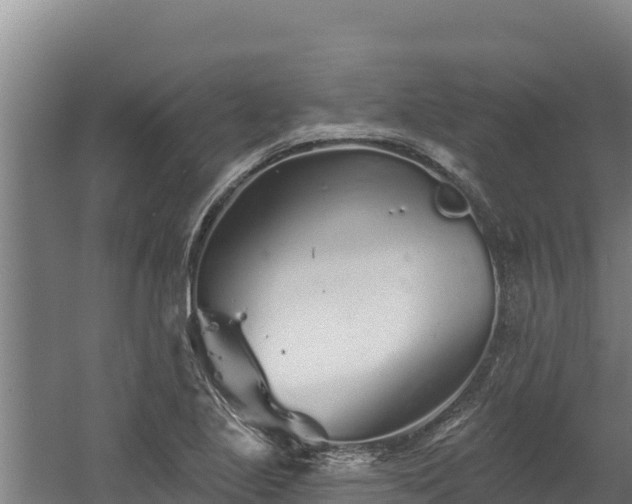 X0000060581221200511071036