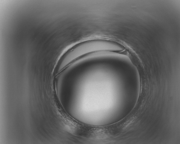 X0000060581222200511071037