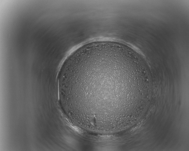 X0000060581223200511071037