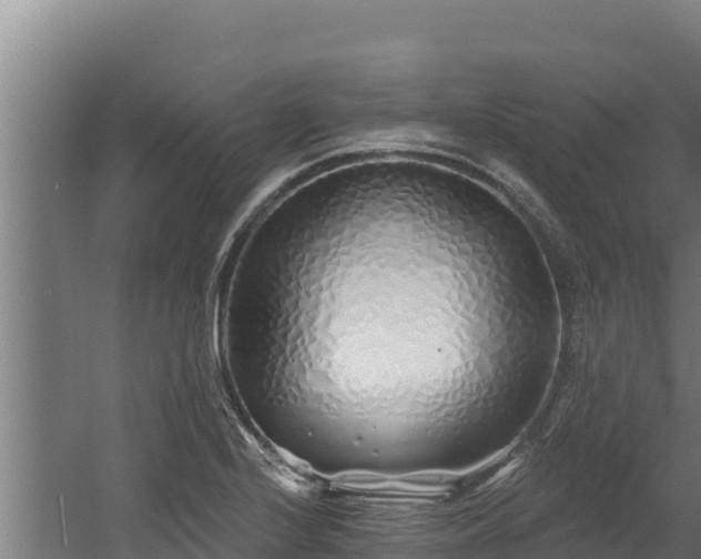 X0000060581224200511071037