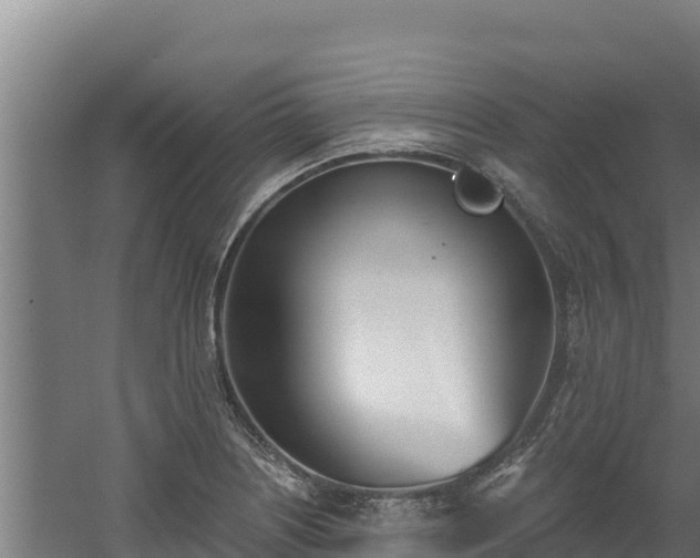 X0000060581226200511071037