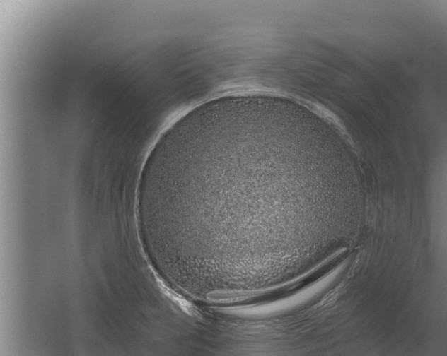 X0000060581231200511071037