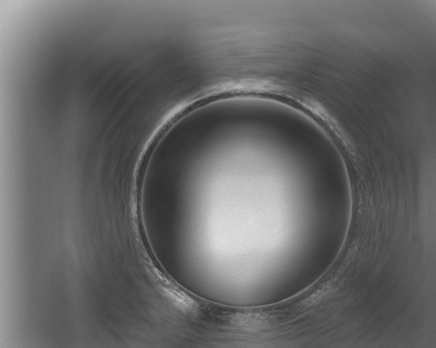 X0000060581232200511071037