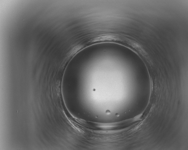 X0000060581233200511071037