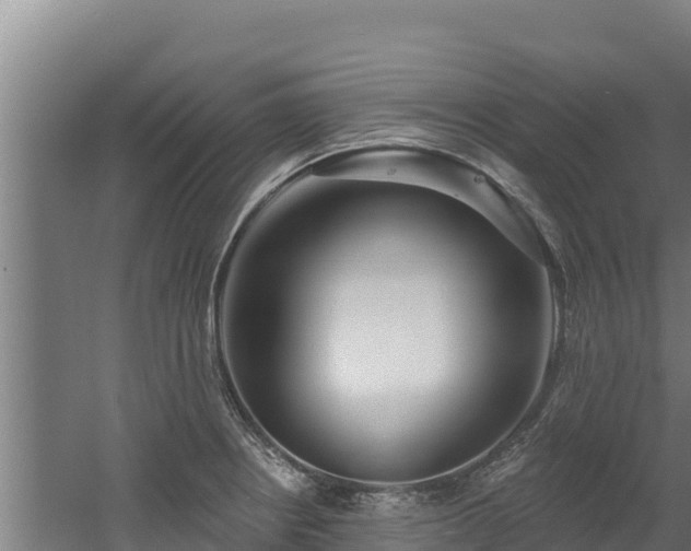 X0000060581234200511071037