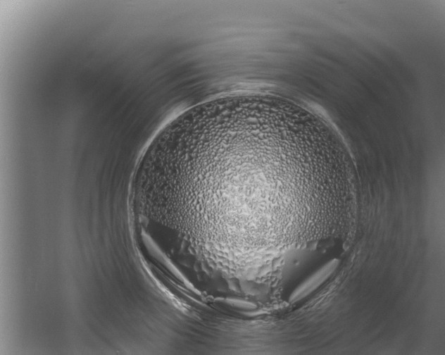 X0000060581235200511071037