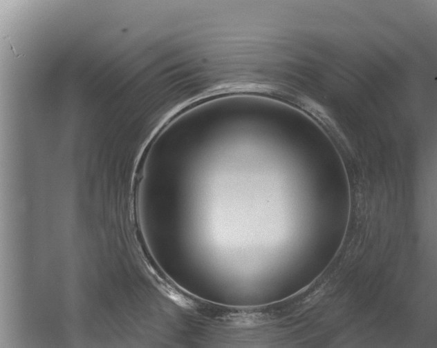 X0000060581236200511071037