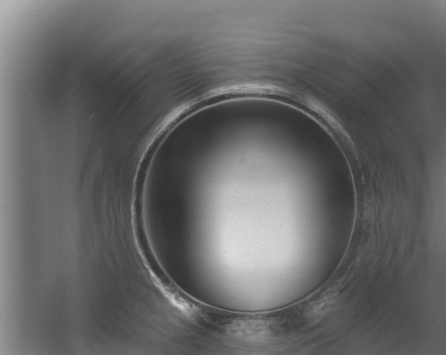 X0000060581237200511071037