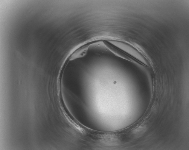 X0000060581238200511071037