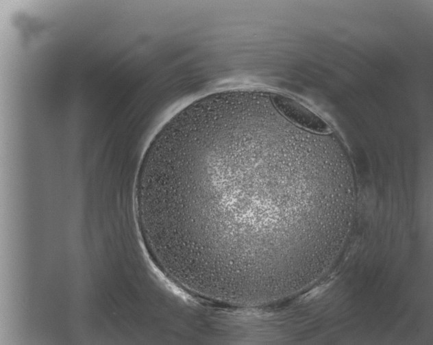 X0000060581239200511071037