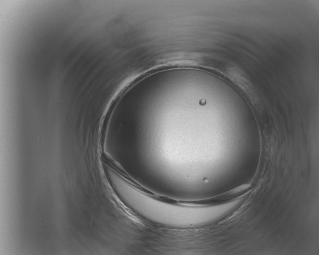 X0000060581240200511071037