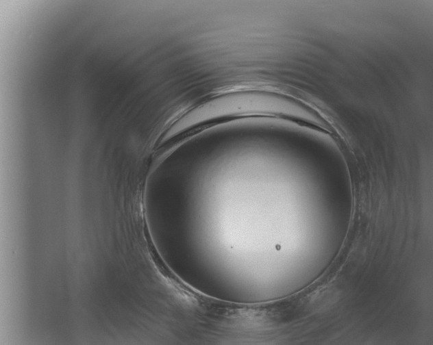 X0000060581241200511071037