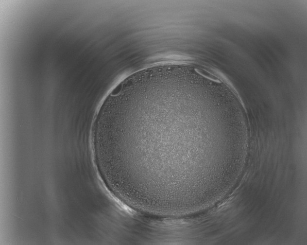 X0000060581243200511071037