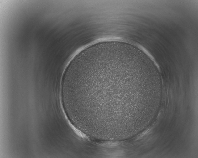 X0000060581245200511071037