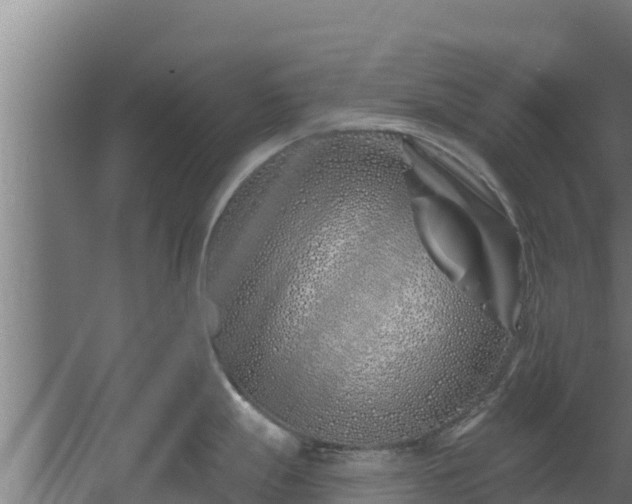 X0000060581247200511071037