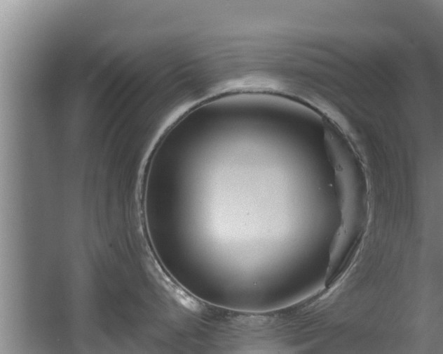 X0000060581248200511071037