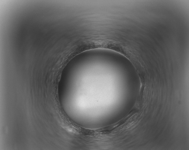 X0000060581249200511071036