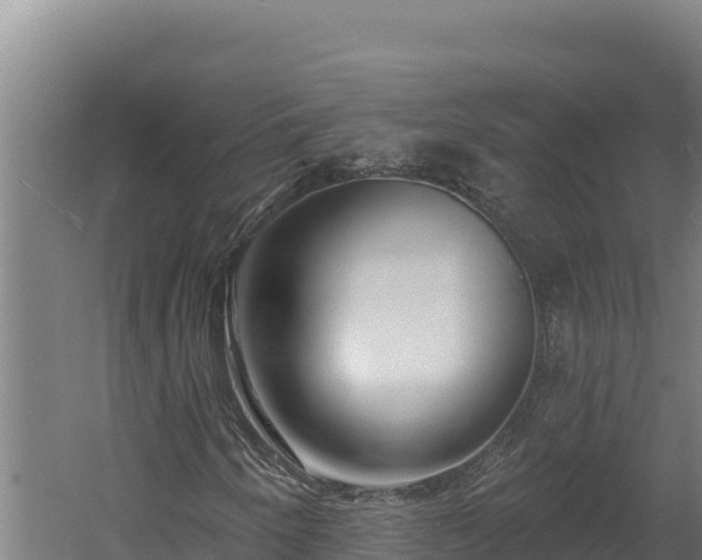 X0000060581250200511071036