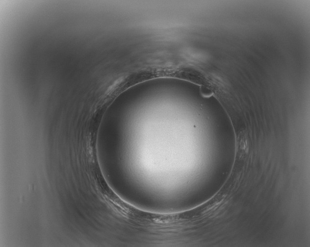 X0000060581252200511071036