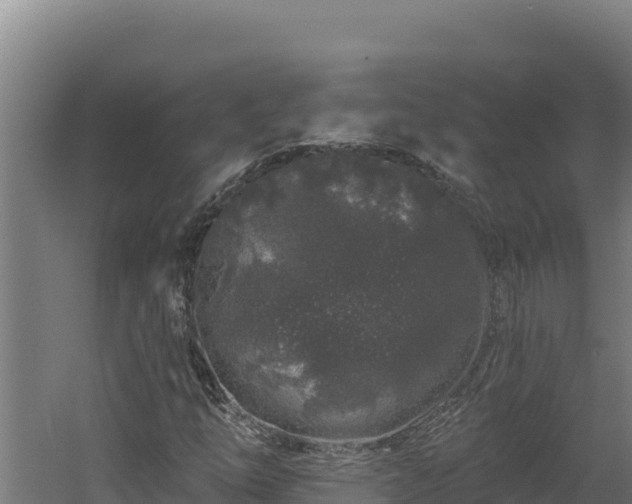 X0000060581254200511071036