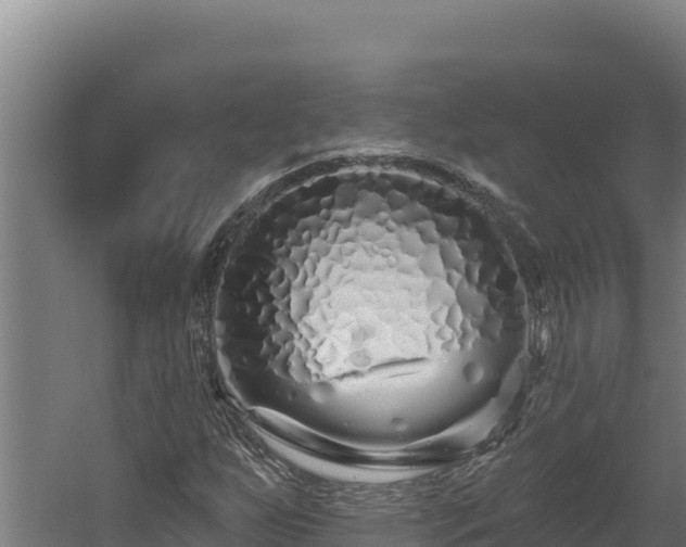 X0000060581255200511071036