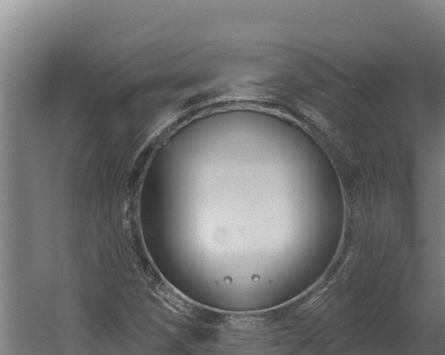 X0000060581258200511071036