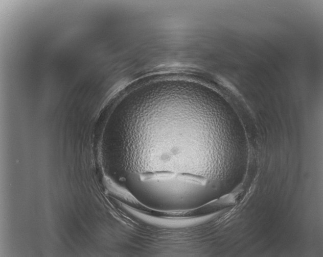 X0000060581259200511071036