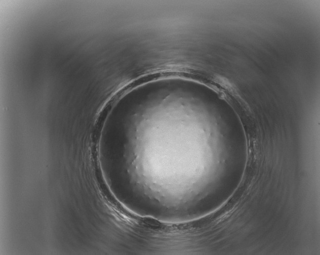 X0000060581260200511071036