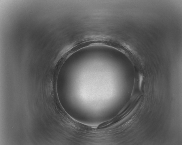 X0000060581261200511071036