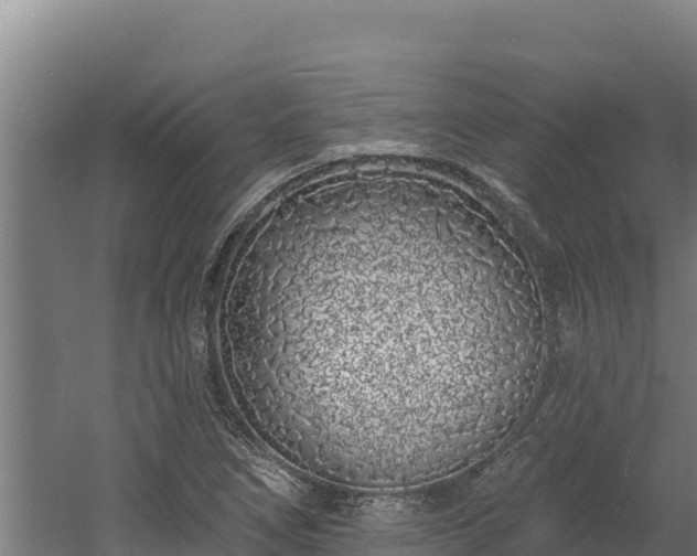 X0000060581266200511071036