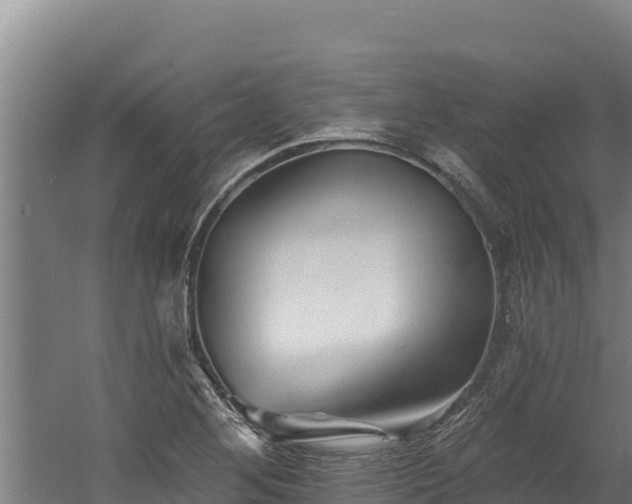 X0000060581268200511071036