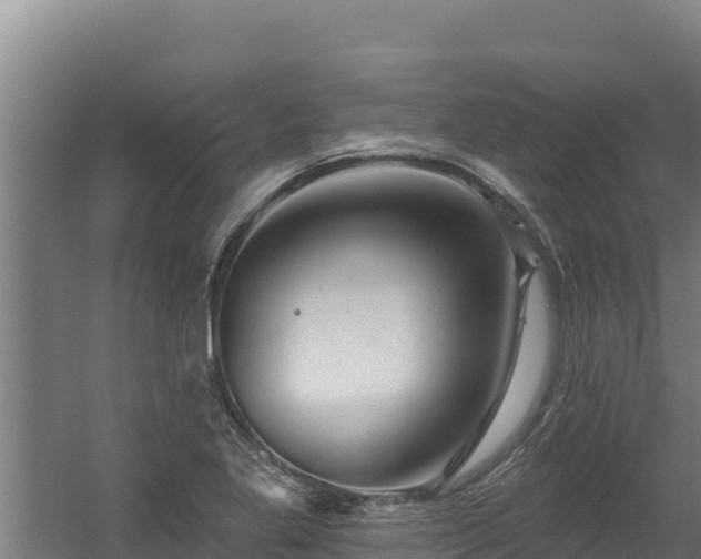 X0000060581269200511071036