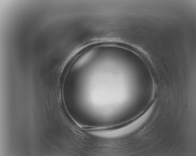 X0000060581271200511071036