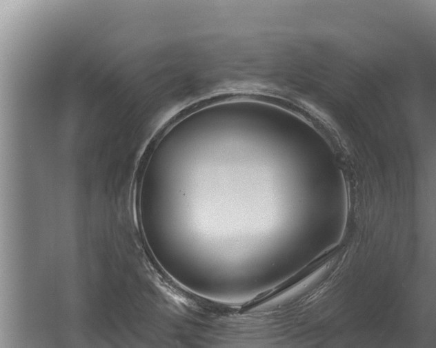 X0000060581272200511071036