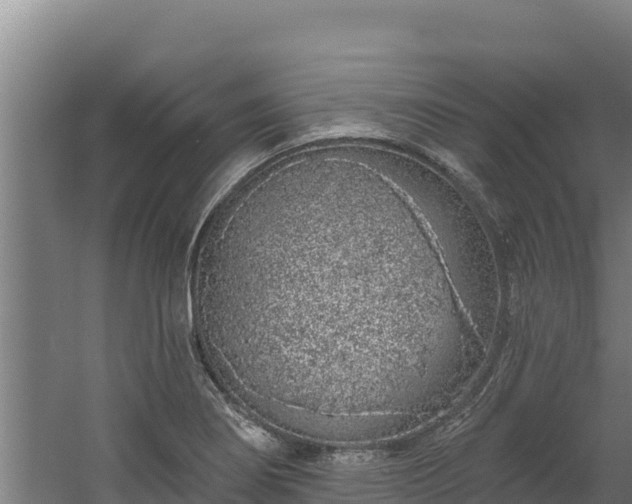 X0000060581274200511071036