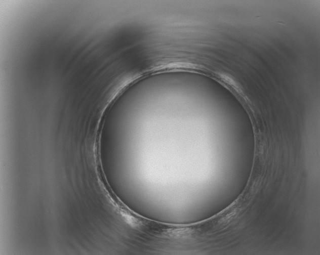 X0000060581282200511071036