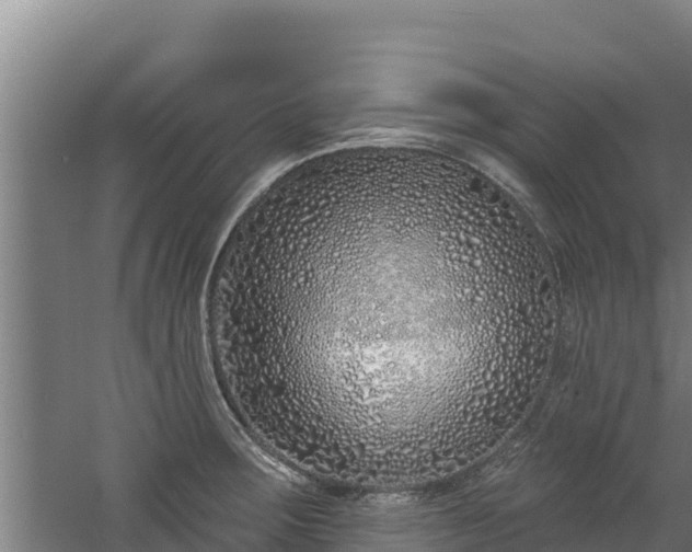 X0000060581283200511071036