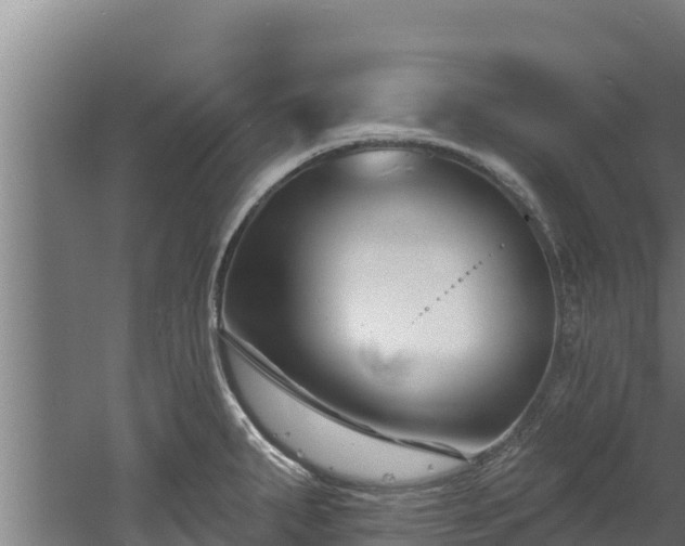 X0000060581287200511071035