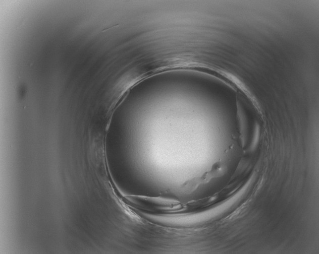 X0000060581289200511071035