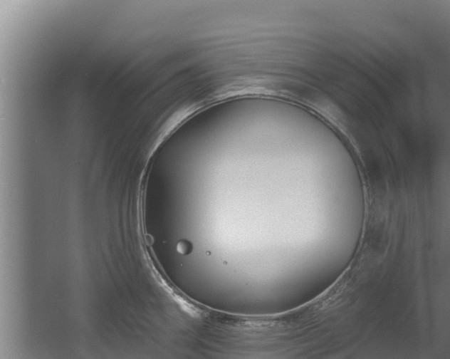 X0000060581290200511071035