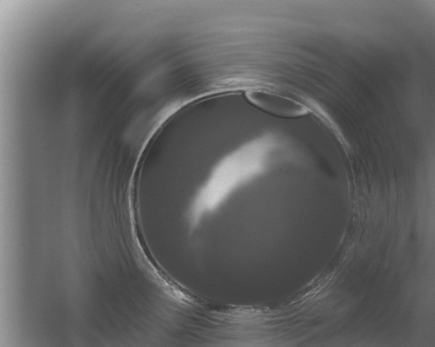 X0000060581291200511071035