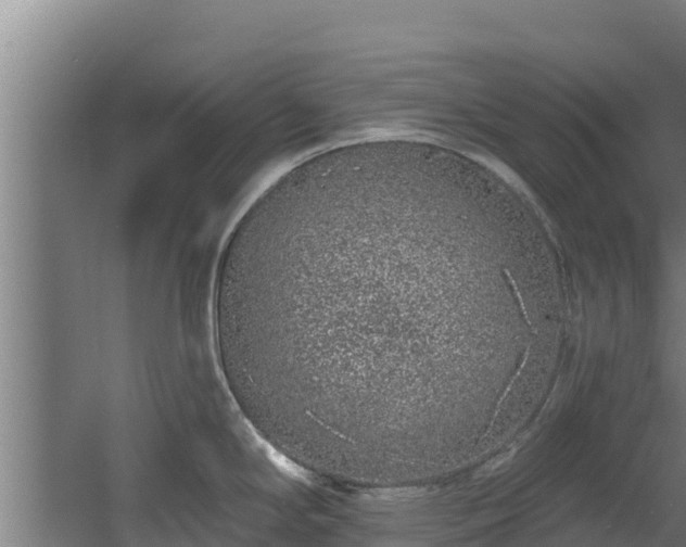 X0000060581294200511071035