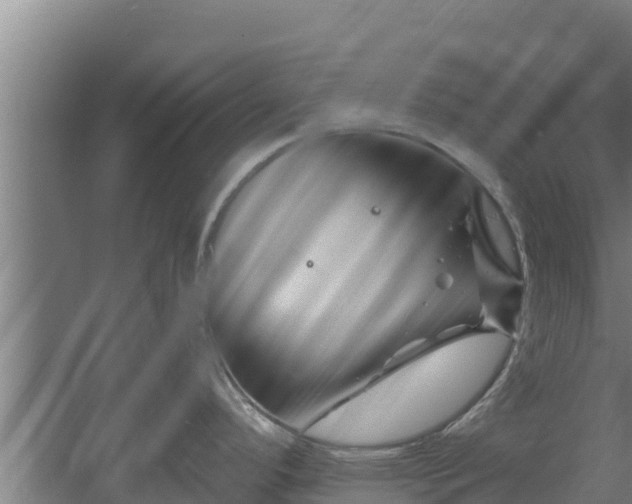 X0000060581296200511071035