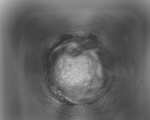 X0000060581297200511071035