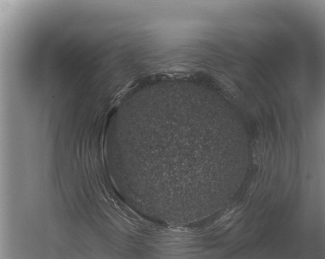 X0000060581298200511071035