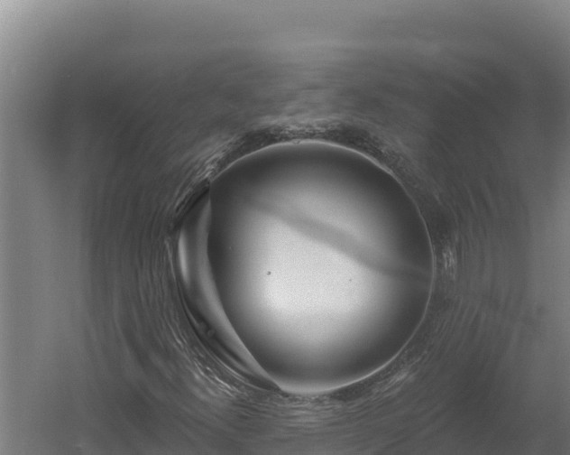 X0000060581300200511071035