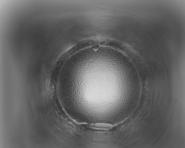 X0000060581302200511071035