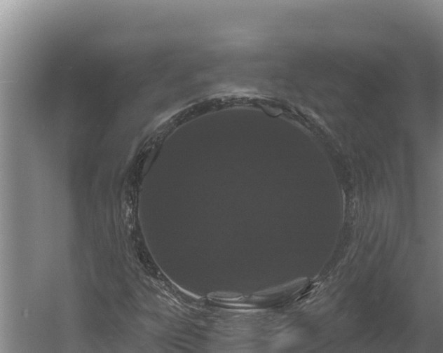 X0000060581303200511071035