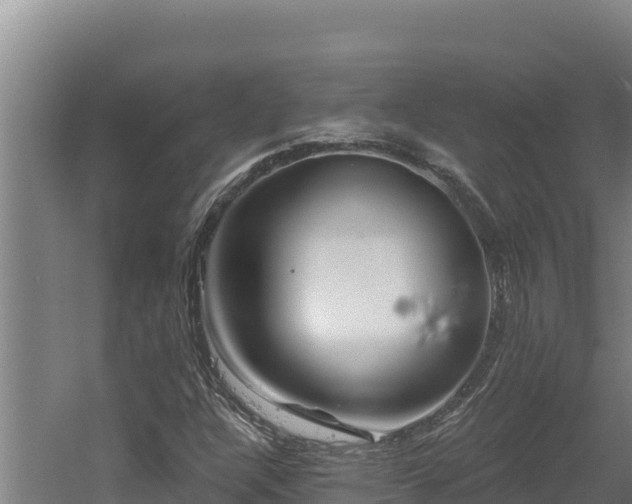 X0000060581304200511071035