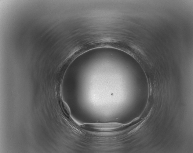 X0000060581305200511071035